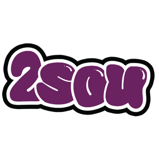 دوسو | تجربه‌ای جدید در دنیای دیجیتال!